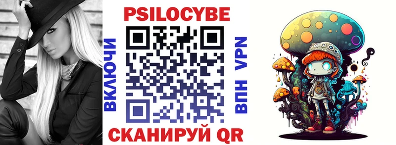 где найти   Горячеводский  Псилоцибиновые грибы Psilocybine cubensis 